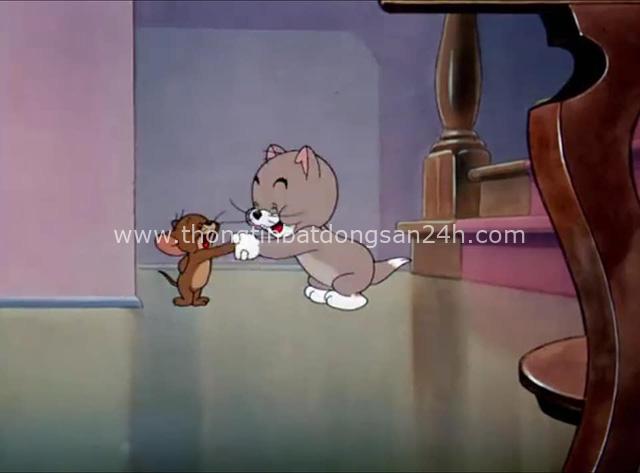 14 bài học cuộc sống soi chiếu từ phim hoạt hình Tom và Jerry, điều số 9 nhiều người đã mắc phải! - Ảnh 5.