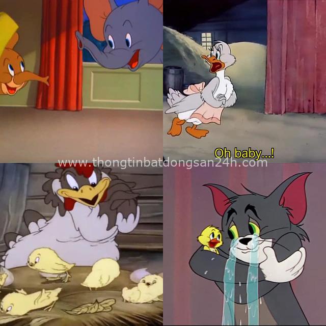 14 bài học cuộc sống soi chiếu từ phim hoạt hình Tom và Jerry, điều số 9 nhiều người đã mắc phải! - Ảnh 13.