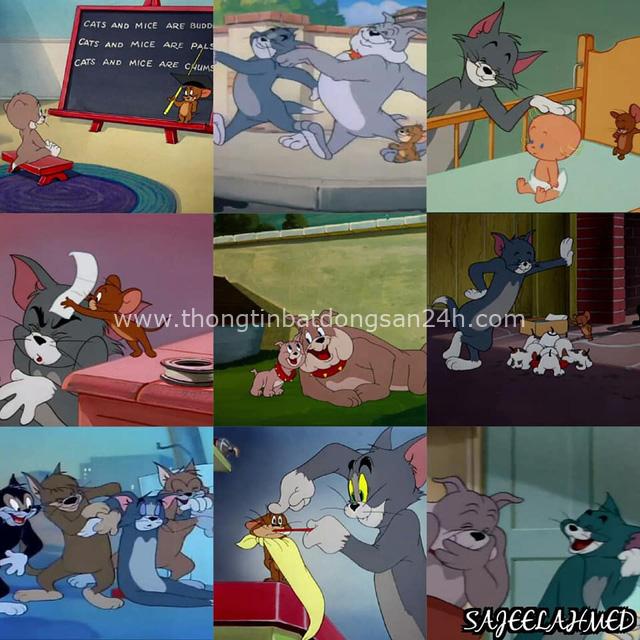 14 bài học cuộc sống soi chiếu từ phim hoạt hình Tom và Jerry, điều số 9 nhiều người đã mắc phải! - Ảnh 14.