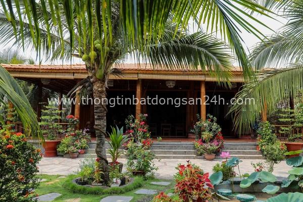 Homestay ở Vĩnh Long làm từ 4.000 cây dừa 2