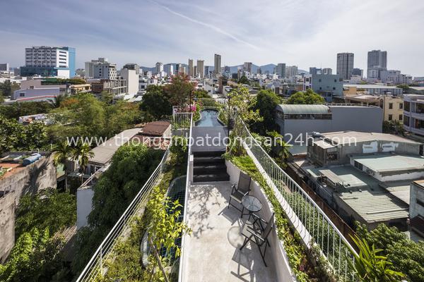 6 khu vườn trên mái nhà ở Đà Nẵng 5