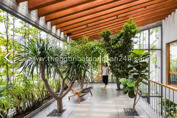 Ngôi nhà như khu rừng nhiệt đới ở TP HCM 9