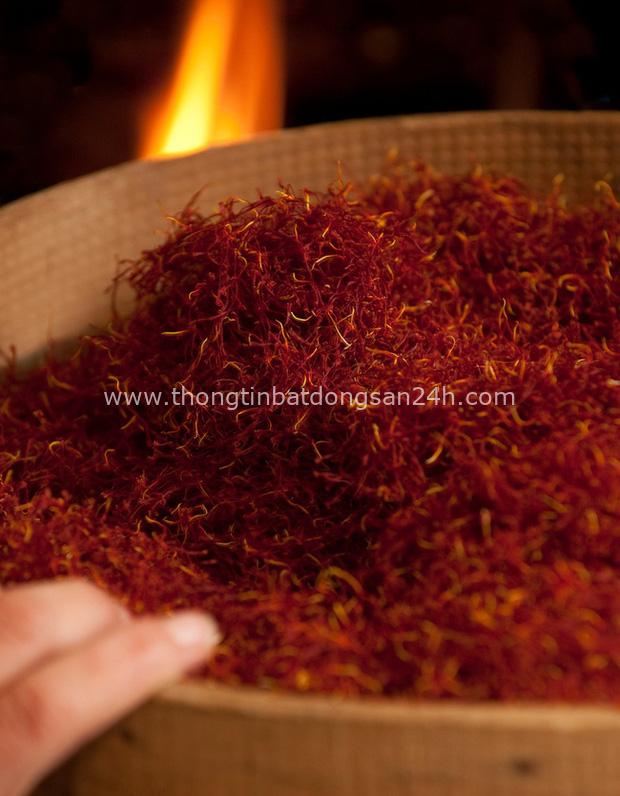 Cận cảnh quá trình thu hoạch saffron - thứ gia vị đắt nhất thế giới được mệnh danh “vàng đỏ“ có giá hàng tỷ đồng/kg, từng được Nữ hoàng Ai Cập dùng để dưỡng nhan - Ảnh 7.