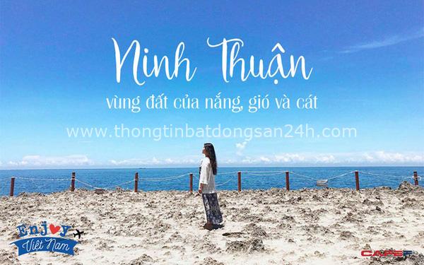 Lạc lối ở Ninh Thuận - vùng đất muốn núi có núi, muốn biển có biển, có cả sa mạc lộng gió nên thơ 1