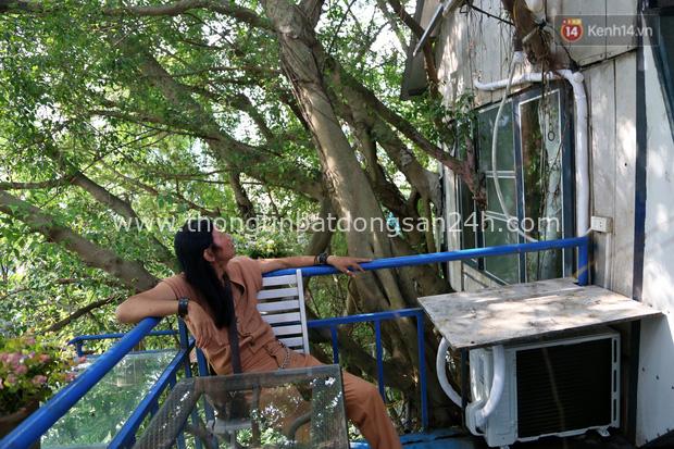 Ngay Hà Nội có một căn nhà cheo leo trên đỉnh ngọn cây của người họa sĩ 61 tuổi: Gần 20 năm trồng và đợi cây lớn - Ảnh 11.