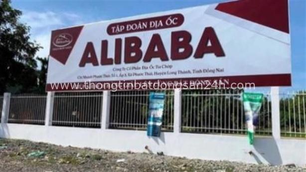 Điều tra sai phạm quản lý đất địa ốc Alibaba thế nào? 6
